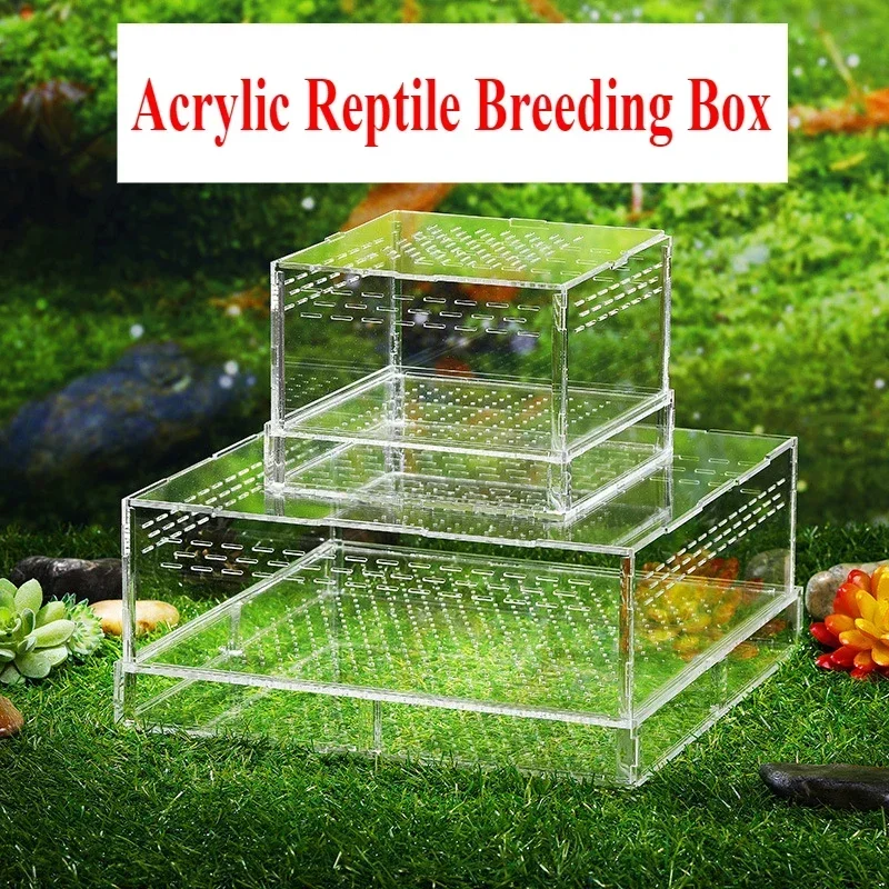 Reptile Acrylic Transparent Feeding Box Spider Lizard Breeding Boxes Tarantula Enclosure Scorpion Bearded Dragon Habitat Cage