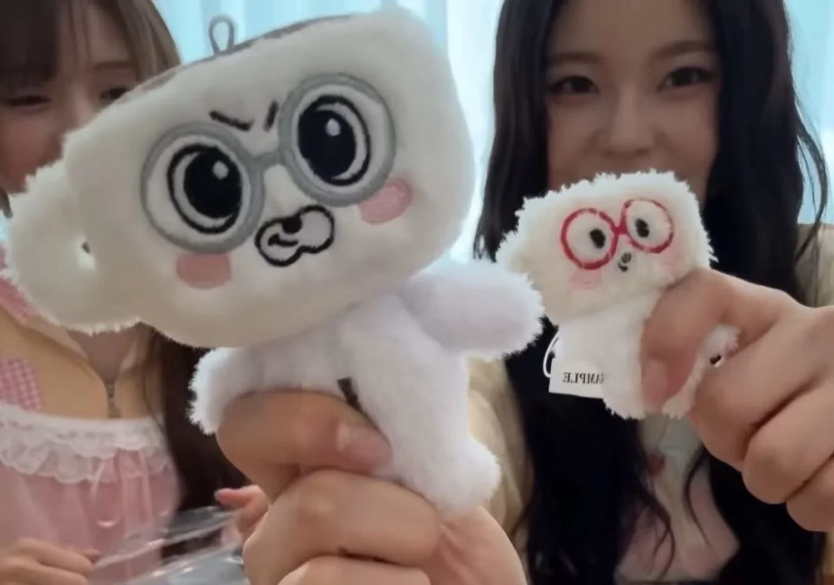 6 szt./zestaw Kpop Idol NMIXX Uroczy Pluszowy Brelok Zawieszka Najlepszy Przyjaciel LILY HAEWON SULLYOON BAE JIWOO KYUJIN Prezent dla Fanów