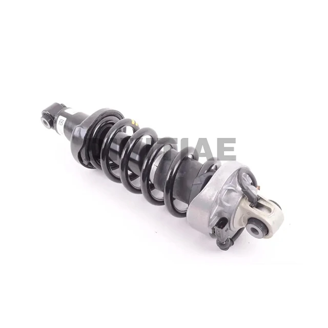 

Shock Absorber Repair Kit Car Shock Absorbers for Audi R8 2007- BILSTEIN 420512019AD 420512019AC 42051201 420512019AJ