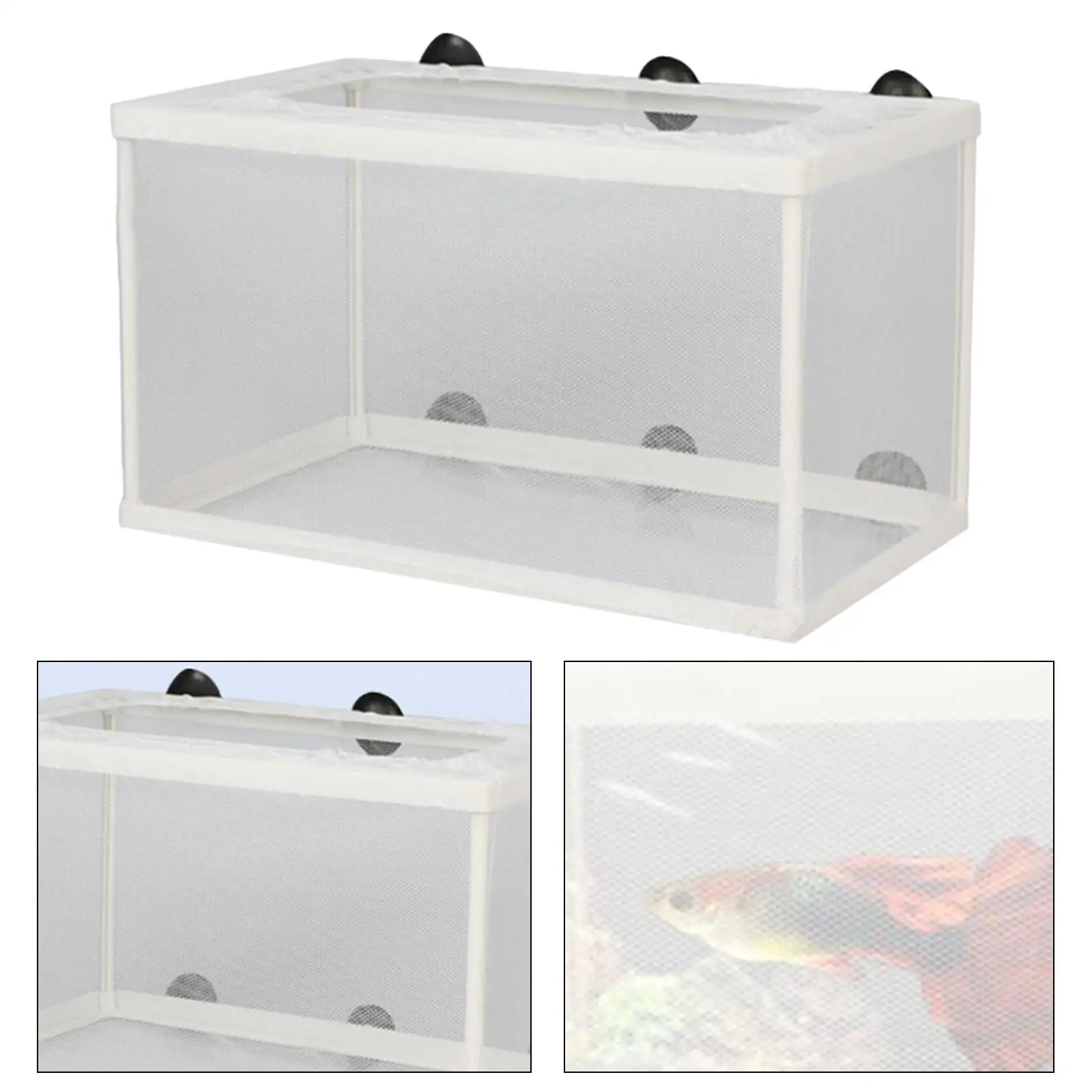 Fish Breeder Box Separation Hatchery Juvenile Spawning Incubator with Suction Cups Aquarium Breeding Isolation Net for Clownfish