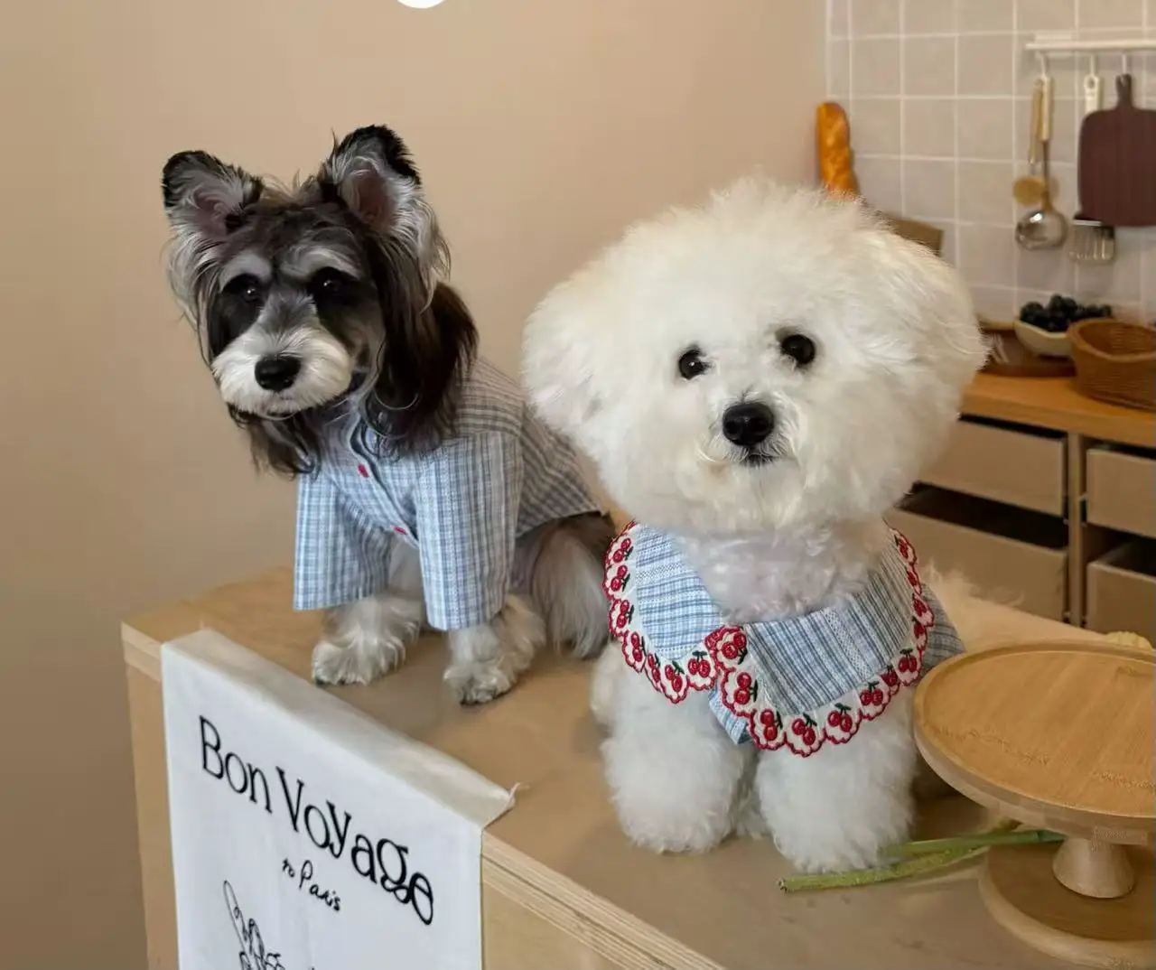 

Fashion Dog Dresses Pet Skirt Spring Cat Pet Clothing Skirt Puppy Dresses for Small Dogs