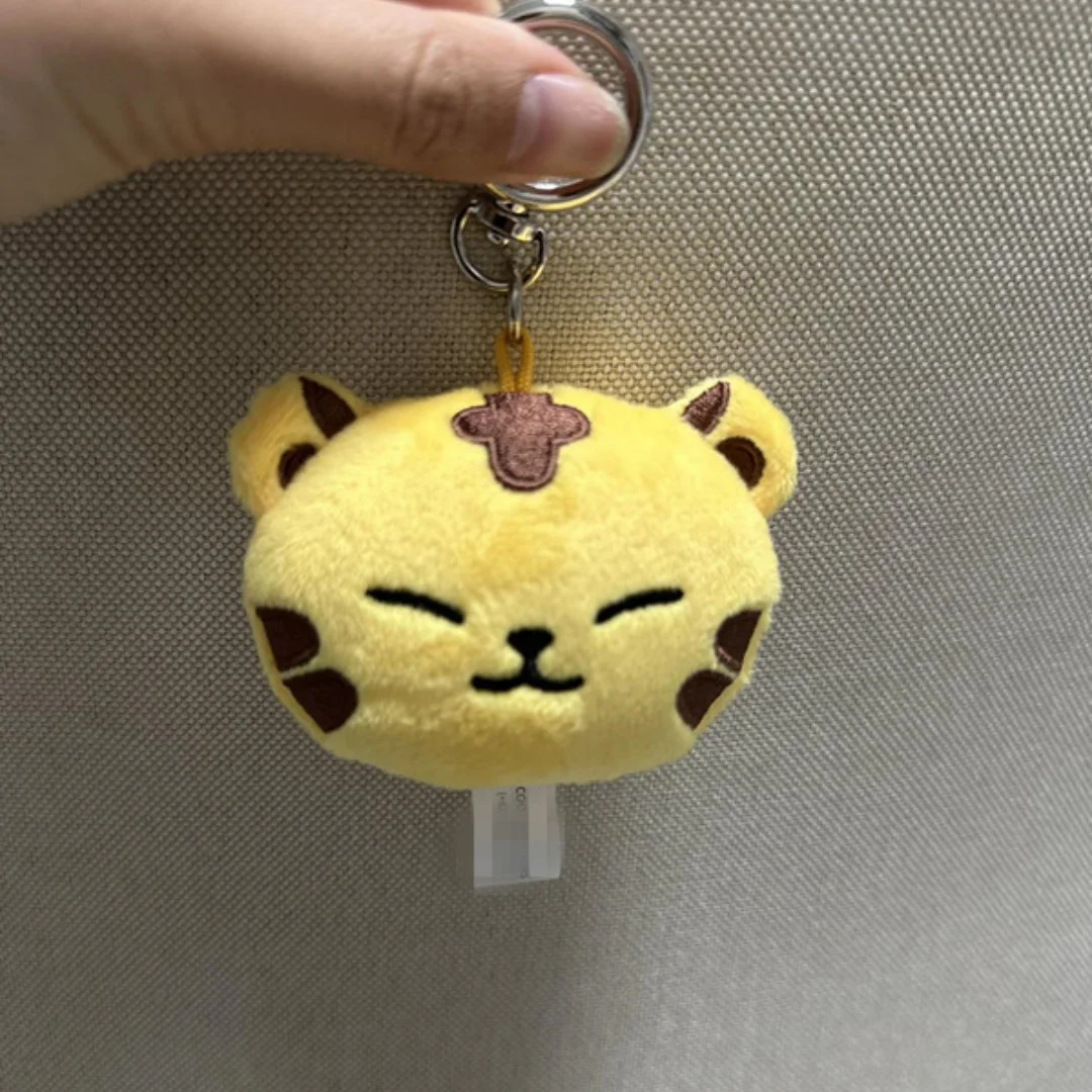 13 قطعة/المجموعة Kpop Boy Group الكرتون لطيف أفخم دمية المفاتيح PP القطن S.COUPS JEONGHAN JOSHUA يونيو SEUNGKWAN المشجعين الهدايا جمع