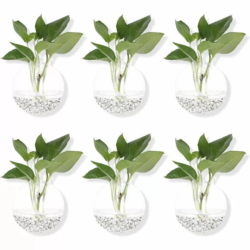 2/4/6/8 Pack Wall Hanging Glass Terrarium - Self-watering Hydroponic Planter For Home Office Decor, Handmade Round  JJ2942SS