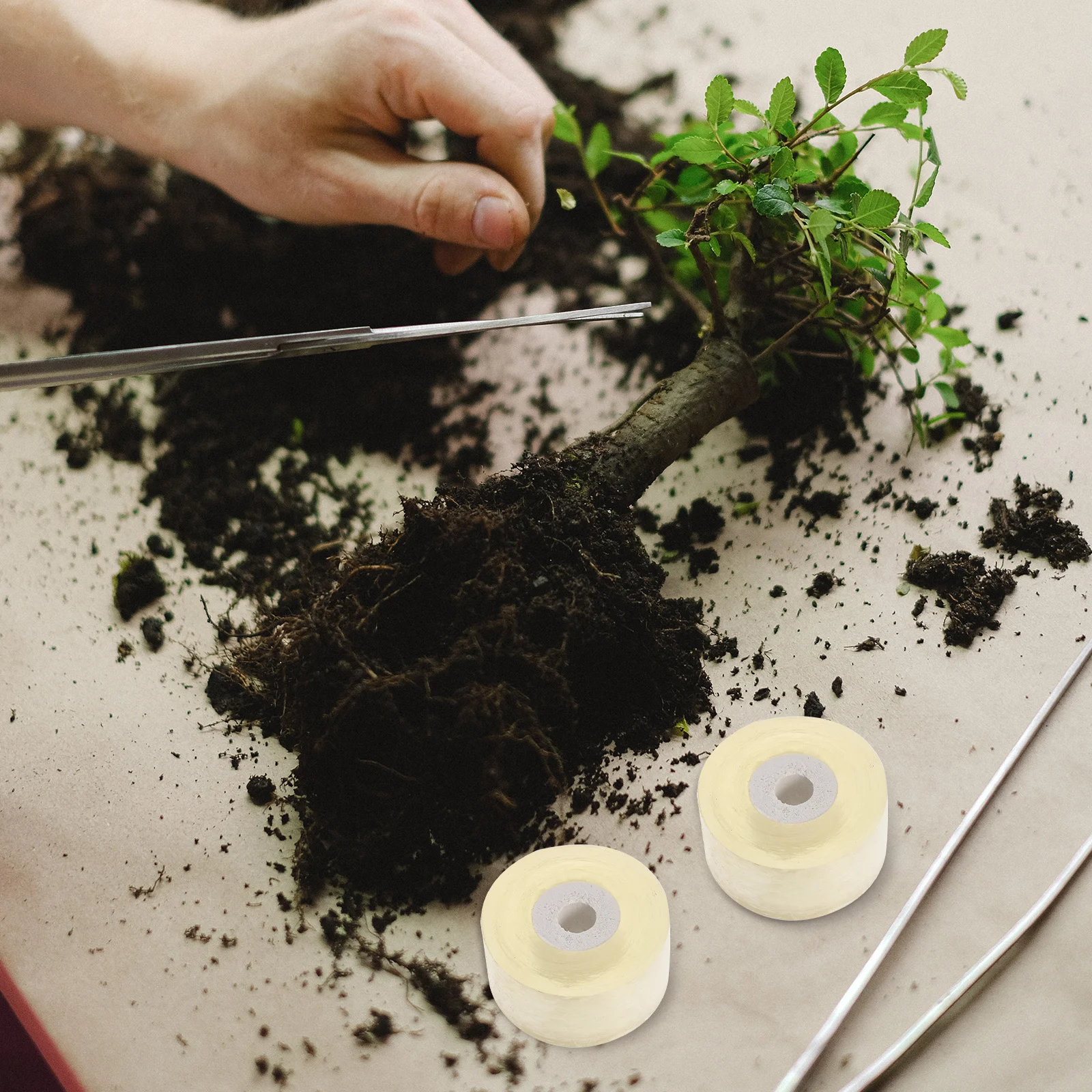 5 قطعة 5 لفات بولي كلوريد الفينيل تطعيم فيلم ذاتية اللصق شفافة لمط النبات التفاف الفيلم لحديقة تطعيم أداة برعم الحماية