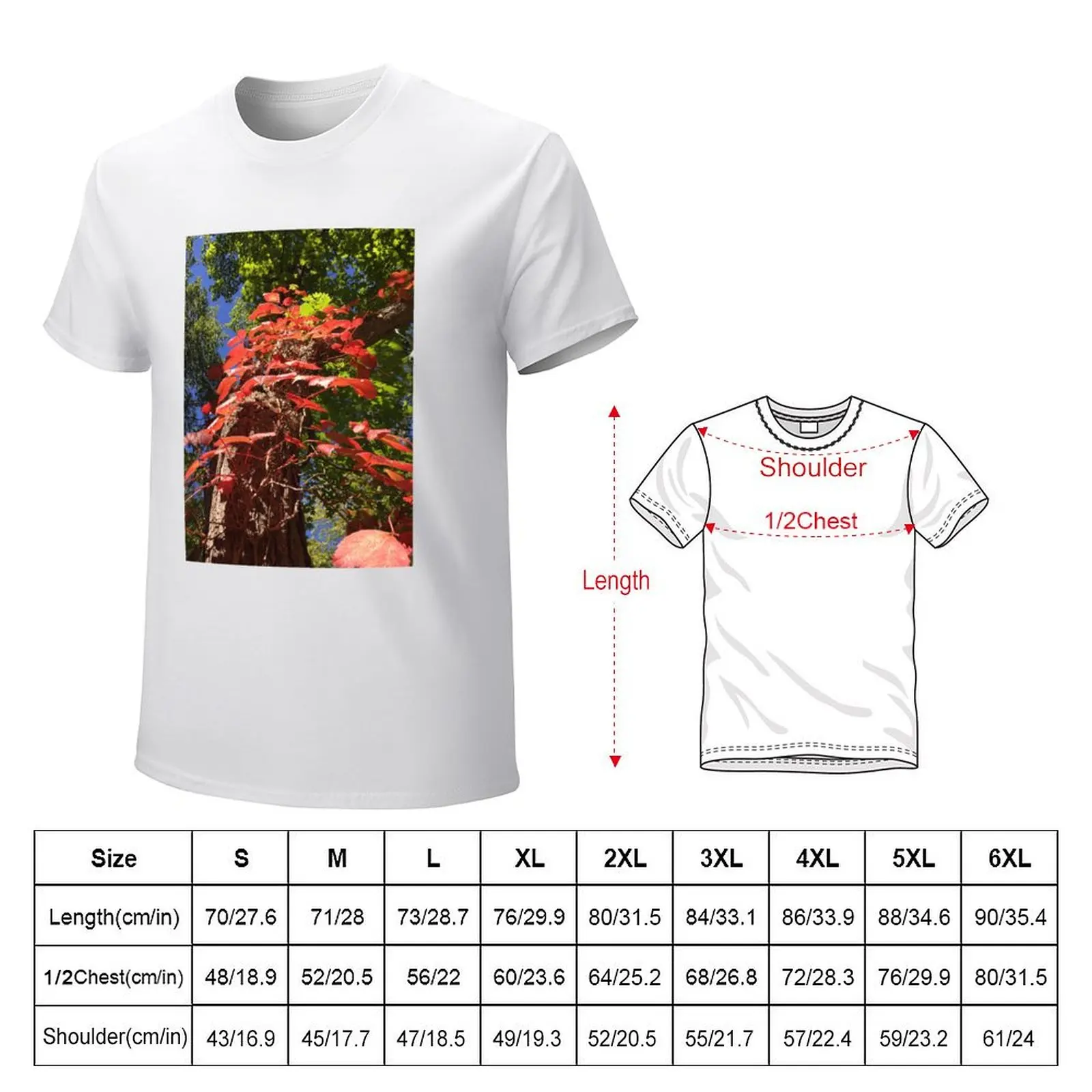 Fall foliage T-Shirt quick drying plain mens graphic t-shirts anime