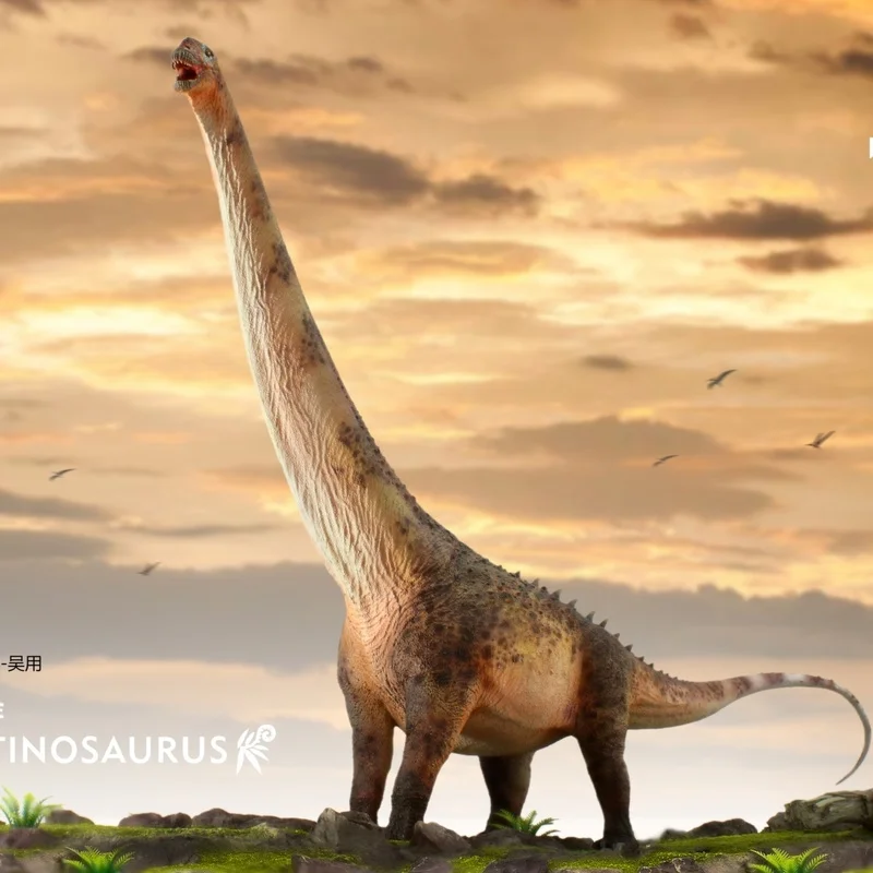 

NEW Good Dragon Valley Argentine Dragon Sauropod Cabbage Dragon Jurassic Dinosaur Toy Model Handmade Gift Ornament 1/35
