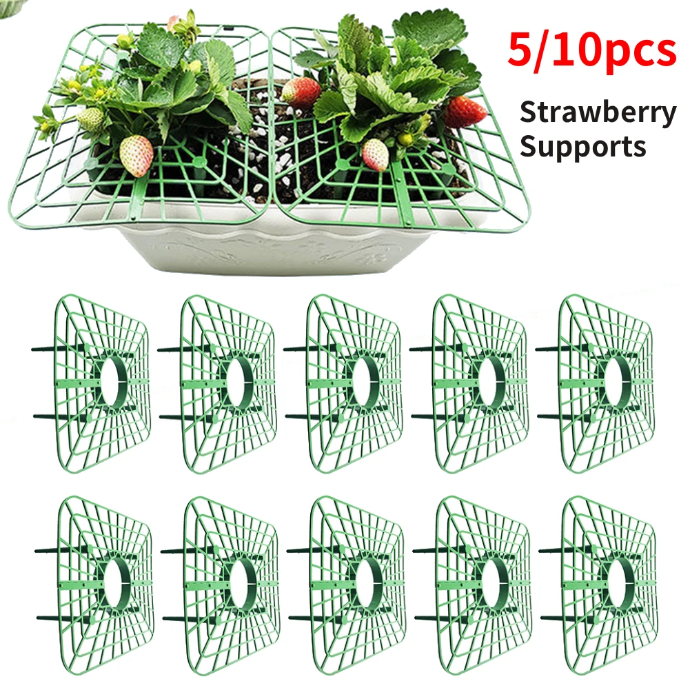 5/10Pcs Square Tray Strawberry Supports Plastic Green Strawberries Tomatoes Peppers Planting Racks Gardening Support Frame