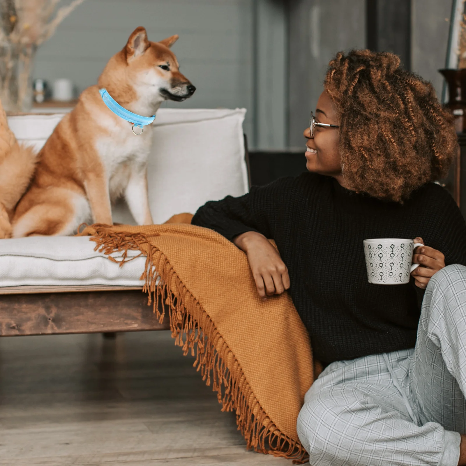 

Adjustable Led Light Pet Collar Luminous Dog Collar Night Glow For Dogs Rechargeable Fashionable Durable Blue Xl Size