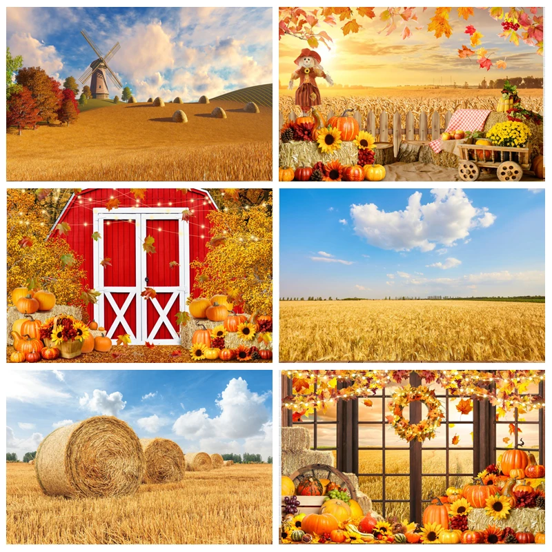 

Autumn Sunshine Wheat Fields Backdrop for Photography Fall Farm Harvest Pumpkin Sunflower Baby Portrait Photo Background Studio