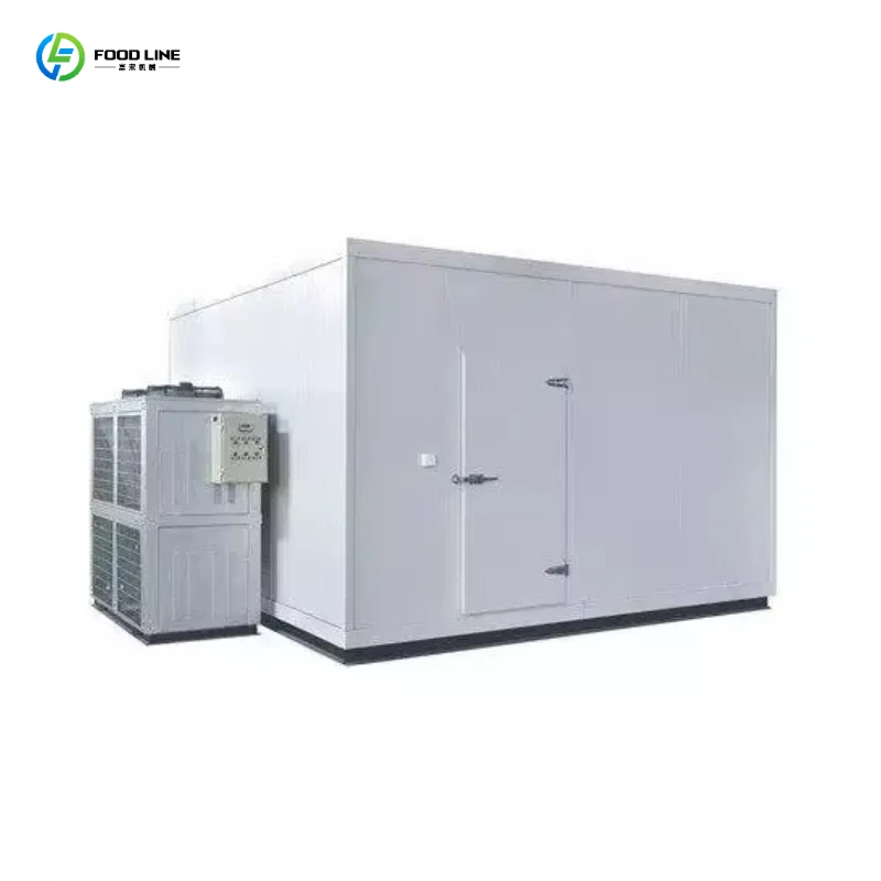 Walk in Cooler Freezer Solar Dual Mode Temp Control Modular Steel Shelves for Supermarket Grocery Storage