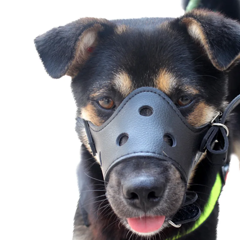 Medium-sized, small and large anti-dog barking, anti-bite dog masks, pet supplies are sent on behalf of one piece.Wear-resistant