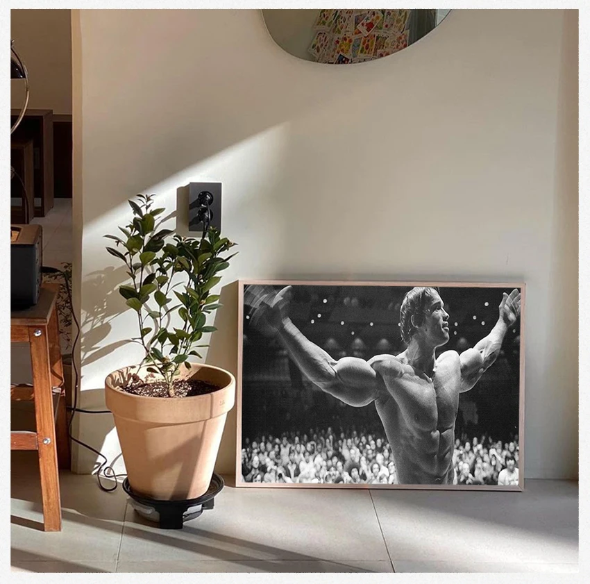 Silk Print Fitness Inspirational Picture for Room Wall Decor Arnold Schwarzenegger Bodybuilding Motivational Art