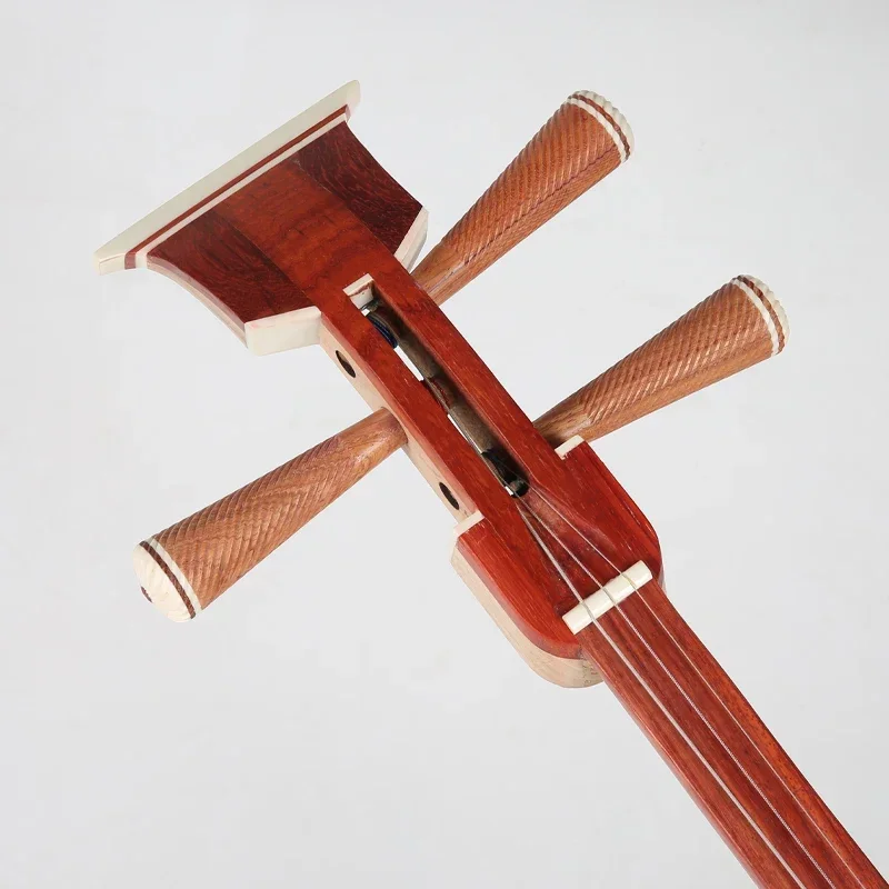 

Chinese national musical instrument, three-stringed instrument