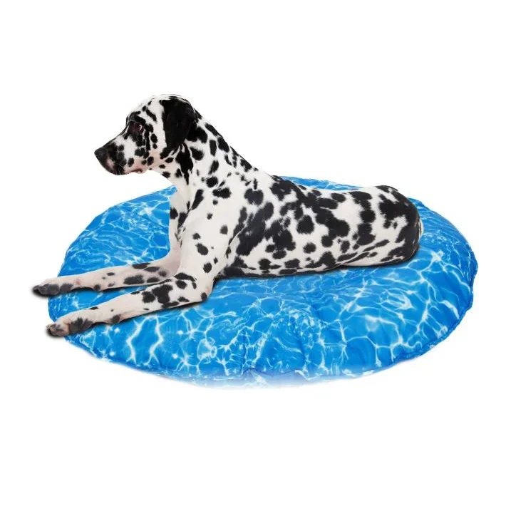 

QS Hangzhou Tianyun wholesale pet dog mat