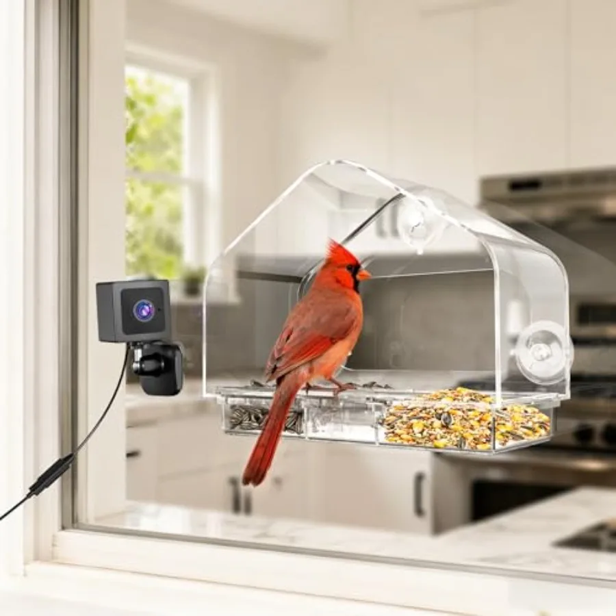 

Smart Window Bird Feeder with 2K Camera and AI Identification Strong Suction Cup Mount All-Weather Design Real-Time Alerts Easy
