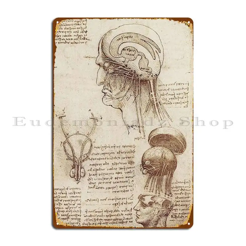 Brain Physiology Gravure Metal Plaque Poster Pub Mural Home Personalized Kitchen Cinema Tin Sign Poster