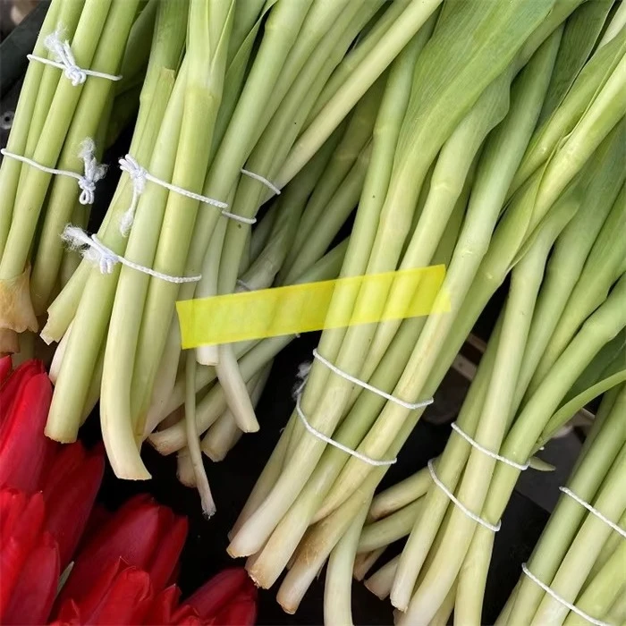 سعر جيد آلة ربط باقة الزهور زهرة الورد حزمة المكبس حزام الخضار الخس آلة تجليد الأسلاك