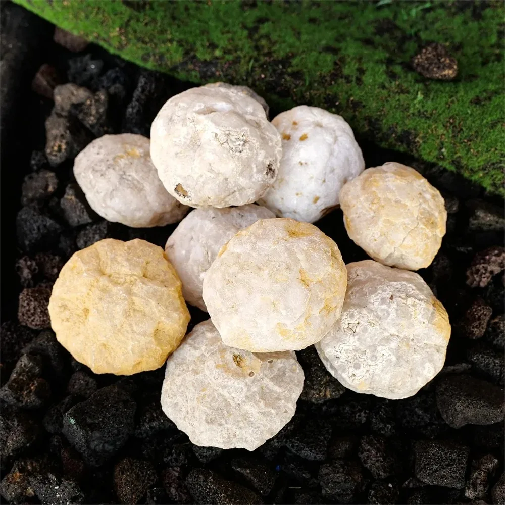 Natural Unopened Agate Geode Raw Crystals Mineral Energy Healing Rough Stones Crystal Cluster Cave Collection Specimen Gift view 5