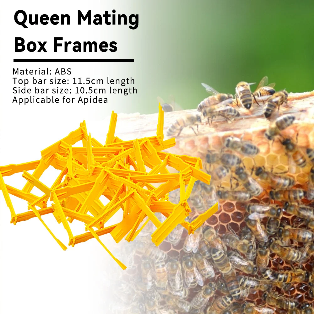 50PCS Beehive Queen Mating Frame Mini Nuc Hive Support Frame Professional Beekeeping Tool Queen Bee Rearing Breeding Kit for Api