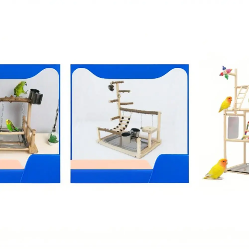 Natural Wood Parrot Gym Stand Colorful Bird Activity Center Climbing Ladder Swing Chewing Toy Grinding Claw Training Tool