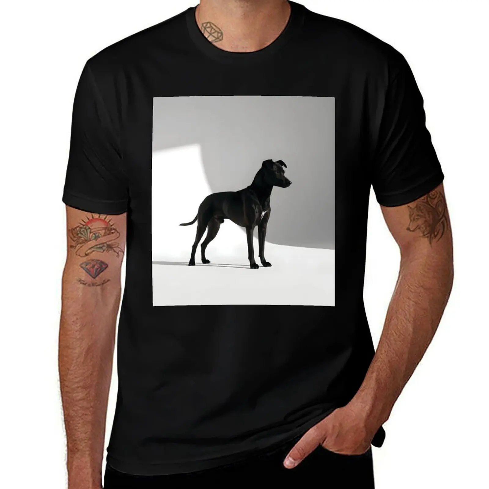 

Paws bathe in pools of daylight T-Shirt anime clothes tshirts personalised customizeds outfits for men