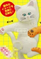white cat