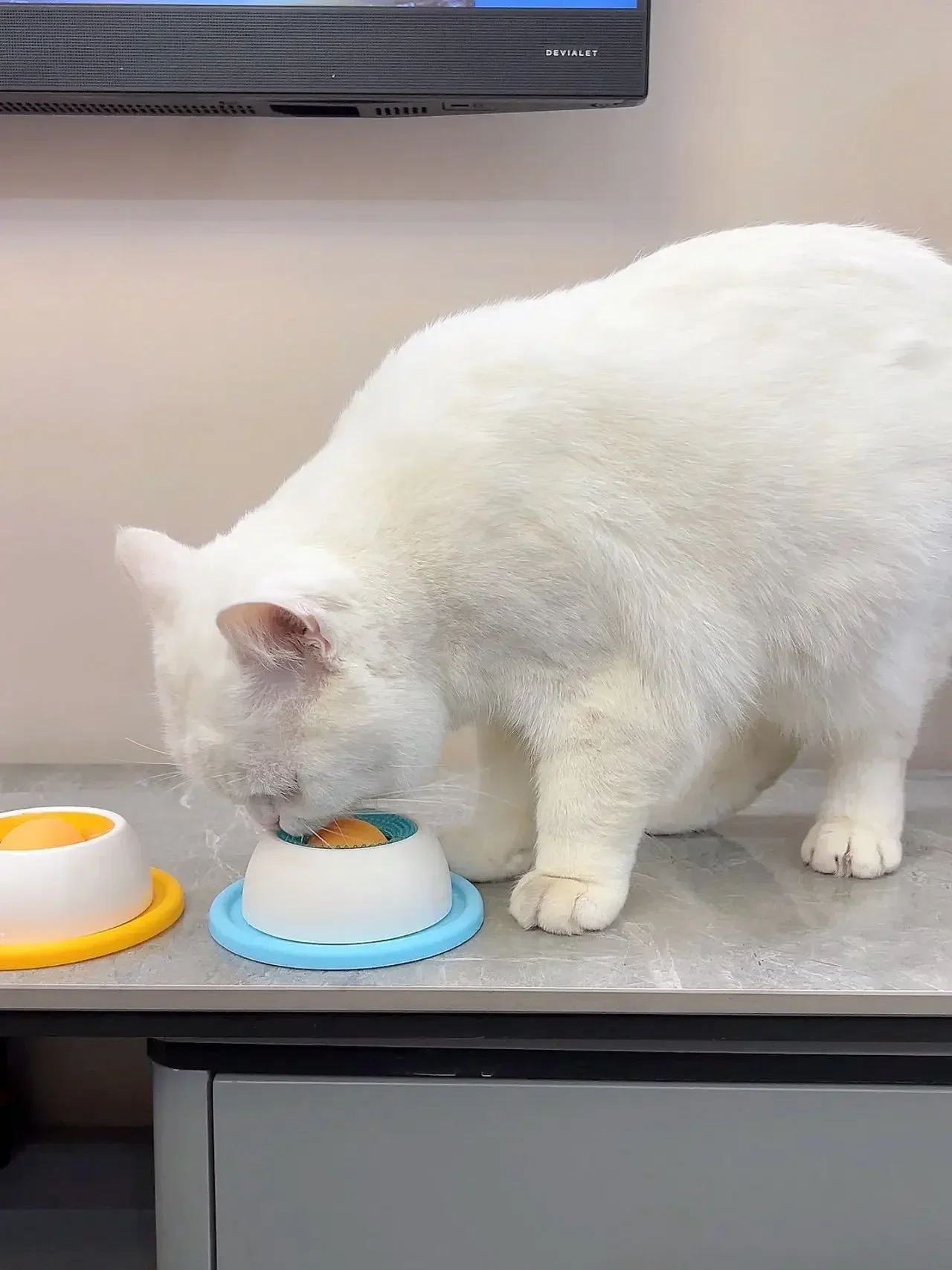 Haustier-Leckspielzeug, Slow-Feeder-Spender, Interaktives Reizmaterial, Trainingszubehör für Hunde, Katzen und Welpen – Detail 17