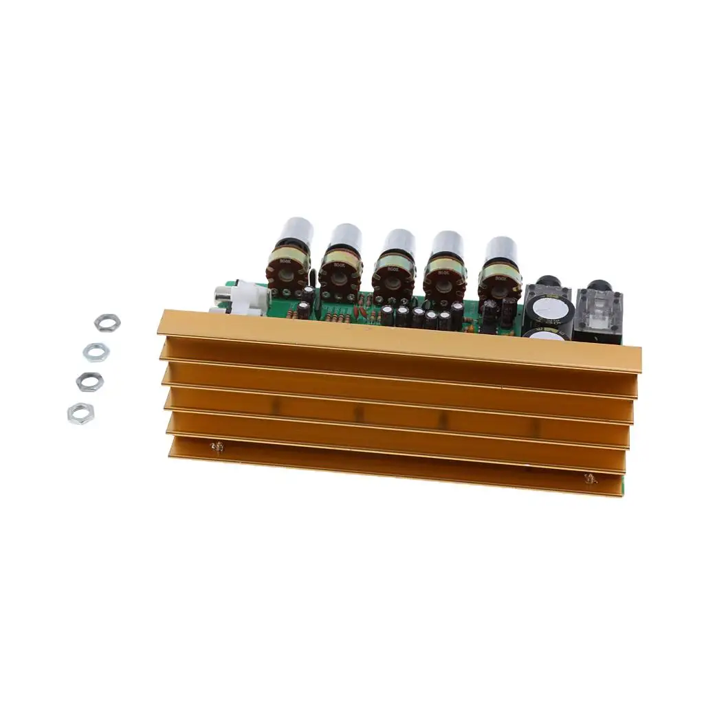 High Power Amplifier Module DIY 2 Channel Audio Board Kit Compact Size with Heat Sink for Home Theater or Car Audio