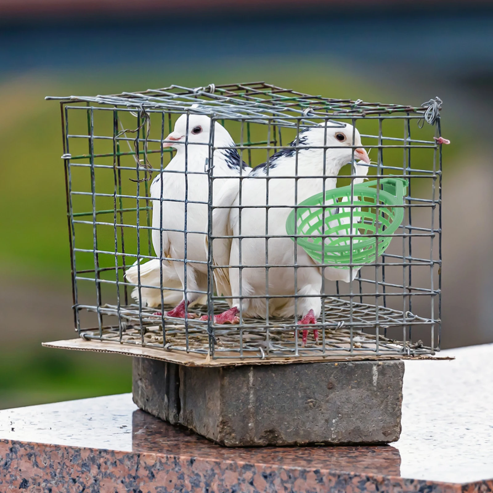 

6Pcs Plastic Pigeon Nest Bowls Sturdy Bird Breeding and Hatching Nesting Bowl for Parrots Cockatiels Small Birds