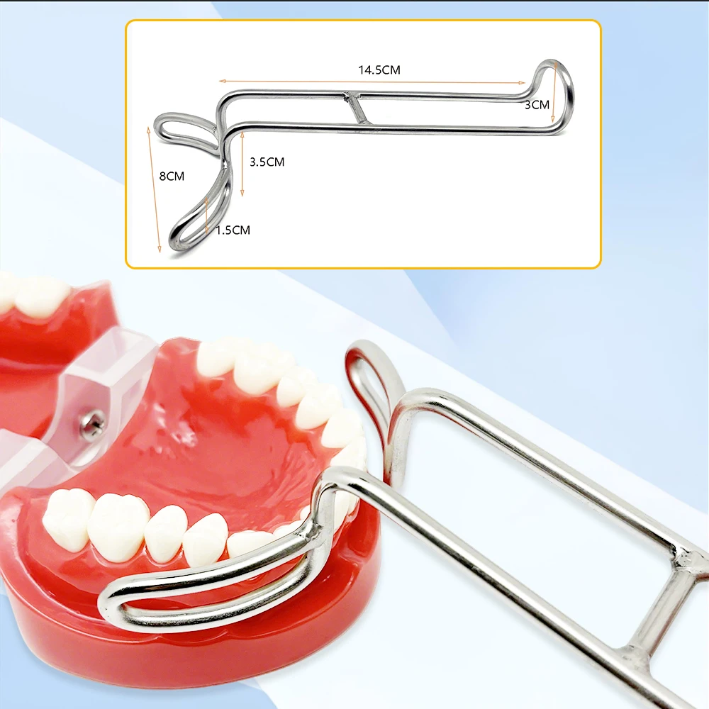 

Dental Mouth Expander Lip Retractor Double Headed Intraoral Cheek Upper Lower Lip Stainless Steel Retractor Tools