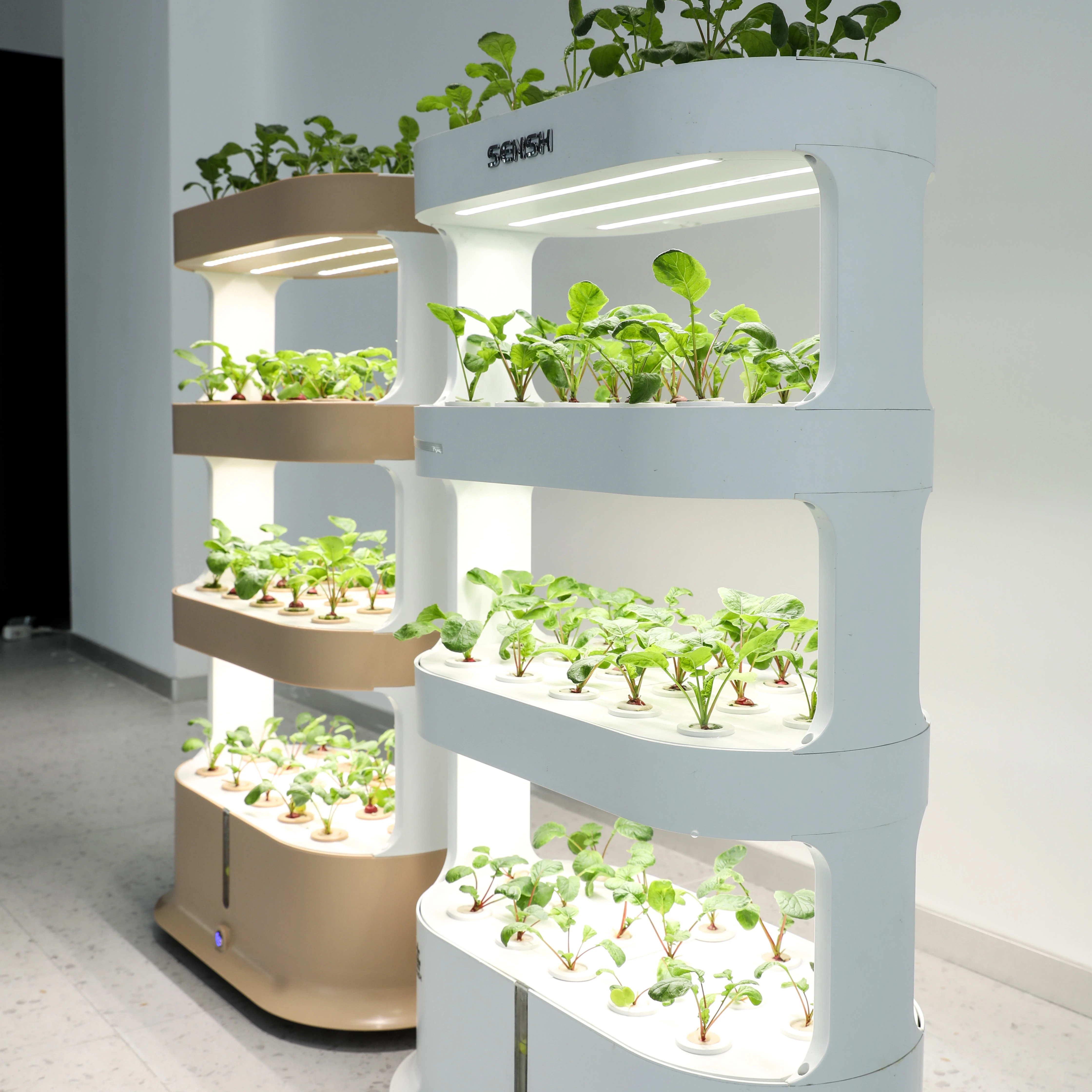 水耕タワースマート水サイクル成長野菜コンテナ