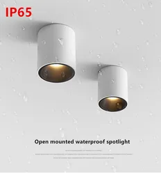 Yeni 2024'ün IP65 su geçirmez downlight spot ışığı LED'i duş odası/banyo/mutfak/sınırsız koridor/balkon için uygundur