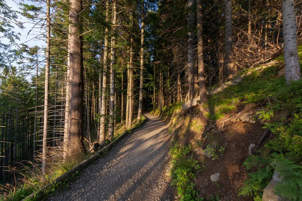 

Кузов и задняя часть кабины для радиоуправляемой машины RC Cherokee, для 1/10 RC Crawler TRX4 Axial SCX10 90046