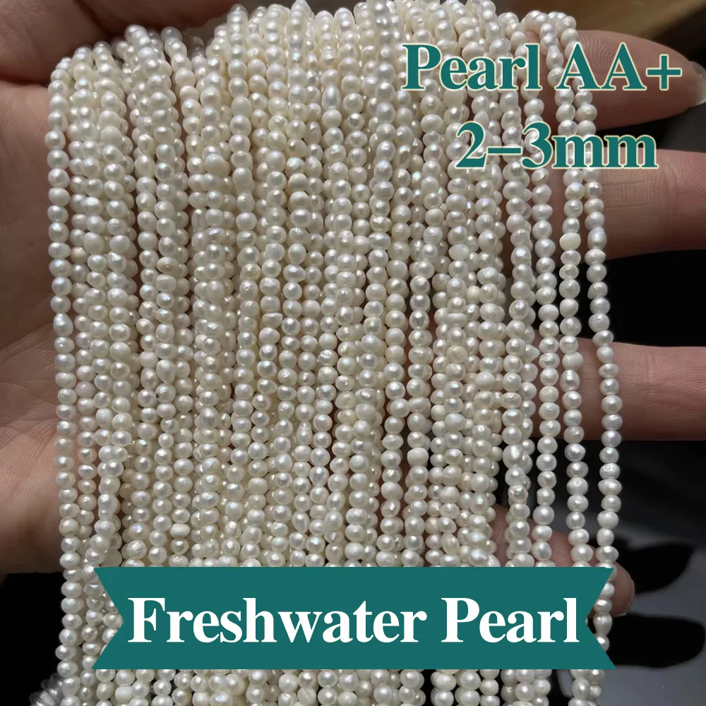 2-3mm Punch Natural Freshwater Pearl Beads Round Small Pearl Loose Spacer Beaded for Making DIY Jewerly Necklace Bracelet 36cm