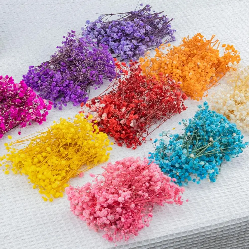 50 قطعة الزهور المجففة الطازجة الطبيعية جيبسوفيلا Paniculata الطفل التنفس زهرة باقات هدية و ديكورات منزلية للزفاف