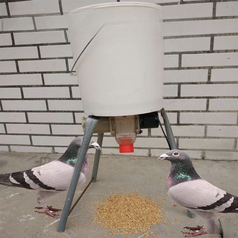 Large electric automatic chicken feeder, special automatic chicken feeder, poultry breeding equipment and utensils