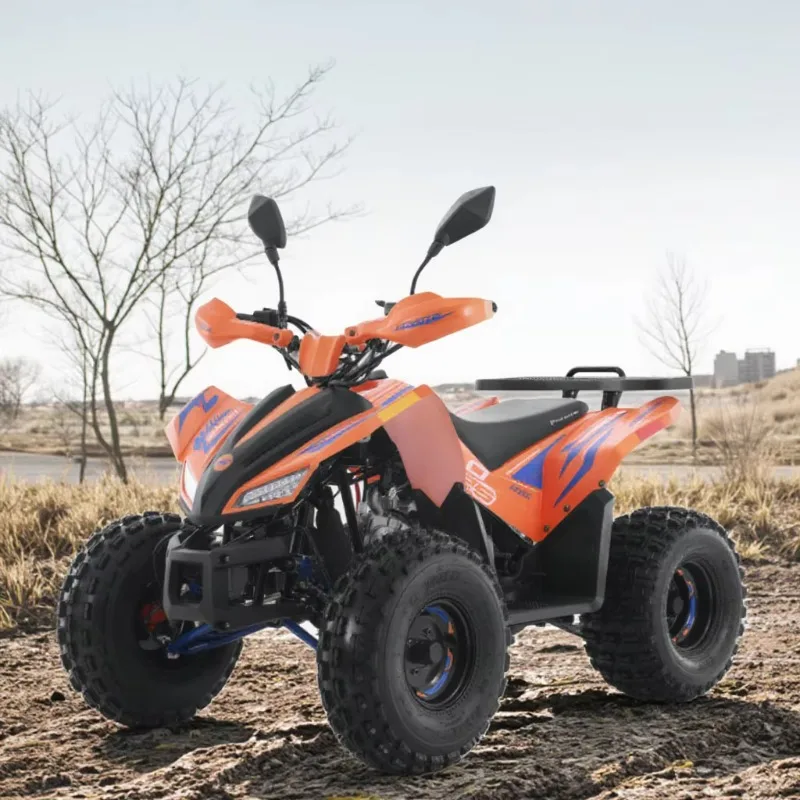 Electric 4x4 ATV Beach Buggy 72V 9000W Brushless Motor Two Seater Long Range 120km For Eco Sand Dune Riding Customized