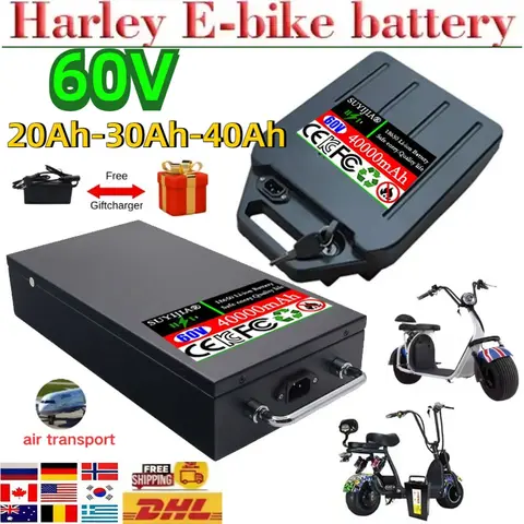 60V 20Ah-40Ah 2000W Electric Vehicle Lithium Battery for Harley Two Wheel Foldable Citycoco Electric Scooter Free Charger