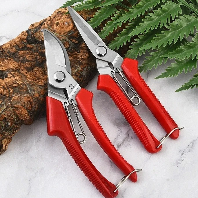 Straight or Curved Head Pruning Shear Non-slip Handle StainlessSteel Outils Manuels Household Bonsai GardenScissors PruningShear