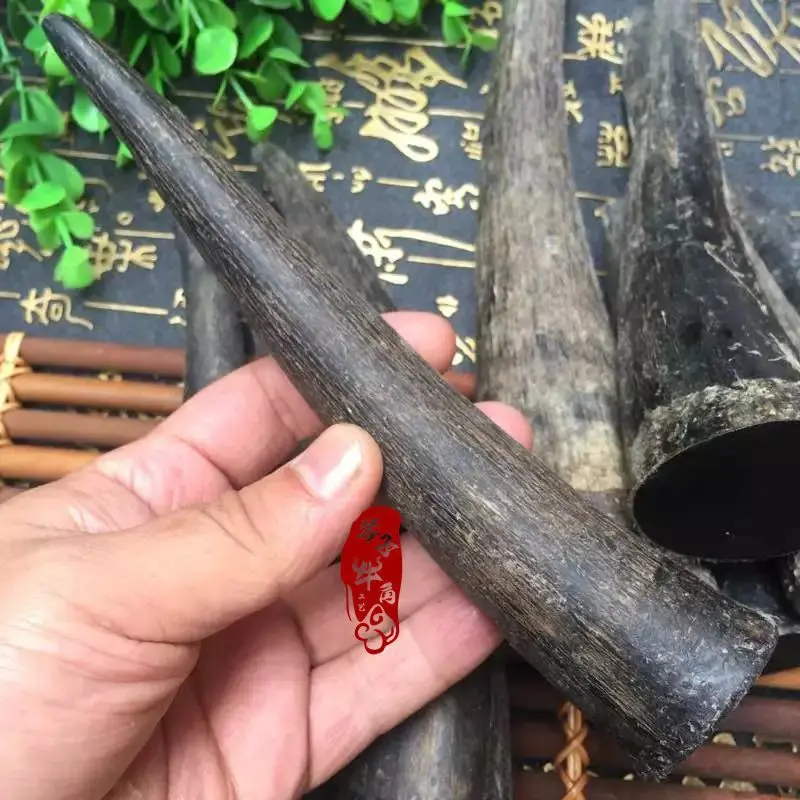 Natural Solid Black Yak Horn Tip, Raw Material, Horn Knife Handle, Slingshot Engraving, Cigarette Holder, Pipo Fishing Rod Mate