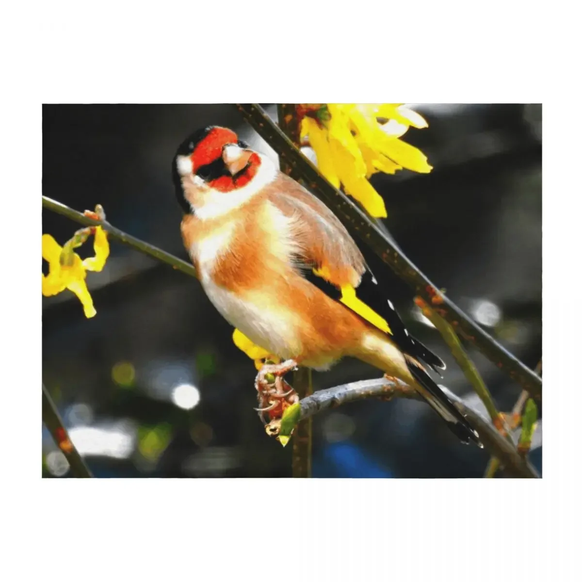 

Cocked Throw Blanket For Baby Cute Flannel decorative Blankets