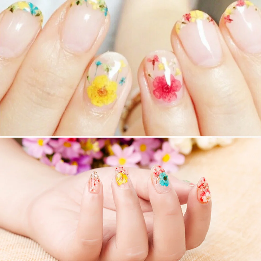 말린 꽃 예술 장식 혼합 색상 네일 디자인을 위한 미니 꽃 휴대용 매니큐어 액세서리 3D 네일 아트
