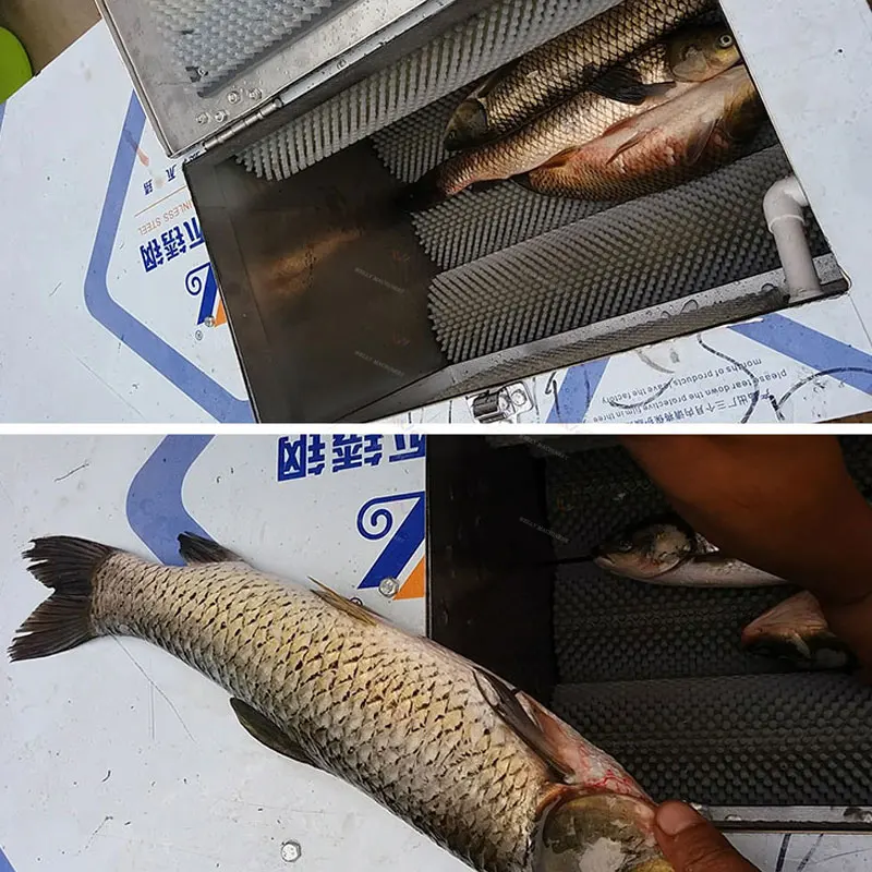 스틸 피쉬 스크래핑 스케일 리무버 내장 제거 기계 드럼 타입 생선 비늘 내장 제거 기계 해상 운송