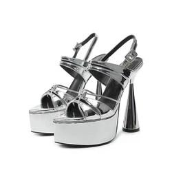 2024 Summer Anti slip Fish Mouth Shoes Steel Pole Dance T-Stage Irregular Heels 14cm Shoes Popular Party Walking Models