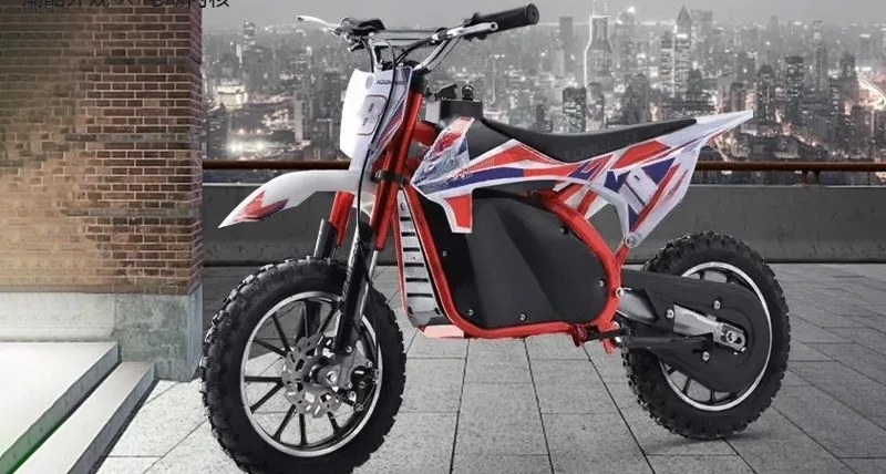 High Battery Life 36V 800W Electric Off-Road Motorcycle for All-Terrain Competitive Scooter Cross-Border Special Locomotive