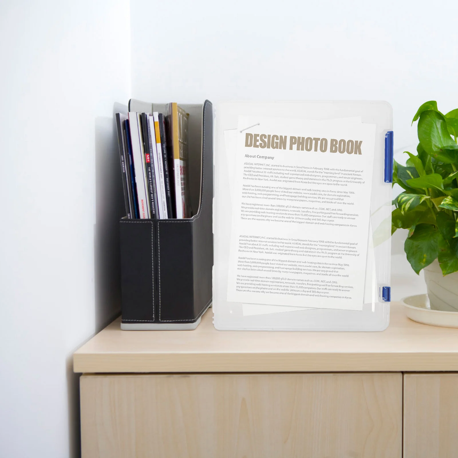 3Pcs File Box Buckle Closure Practical A4 Document Storage Organizer Photo Holder Scrapbook Paper Organizer Plastic Case