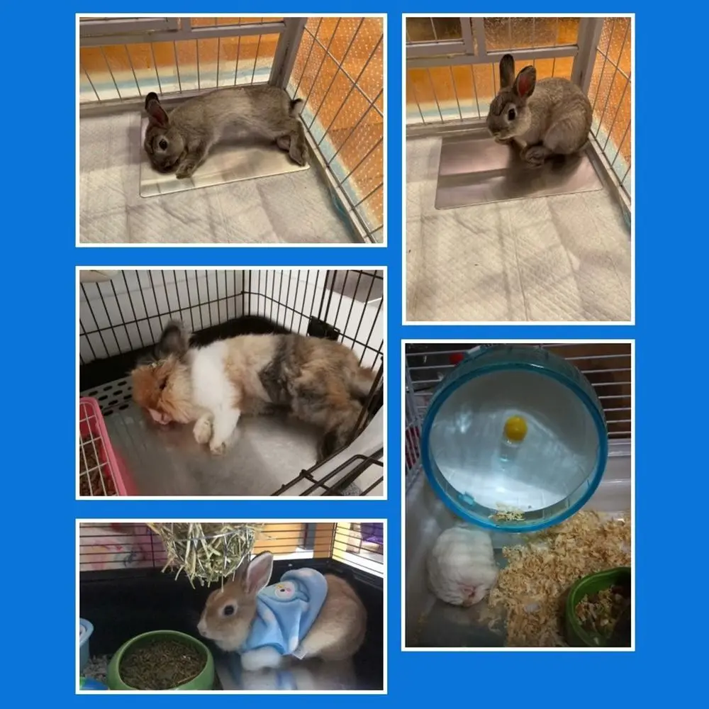 

Aluminum Pet Cooling Plate Fast-cooling Smooth Rabbit Cooling Plate Reusable Heat-dissipating Summer Cooling Mat
