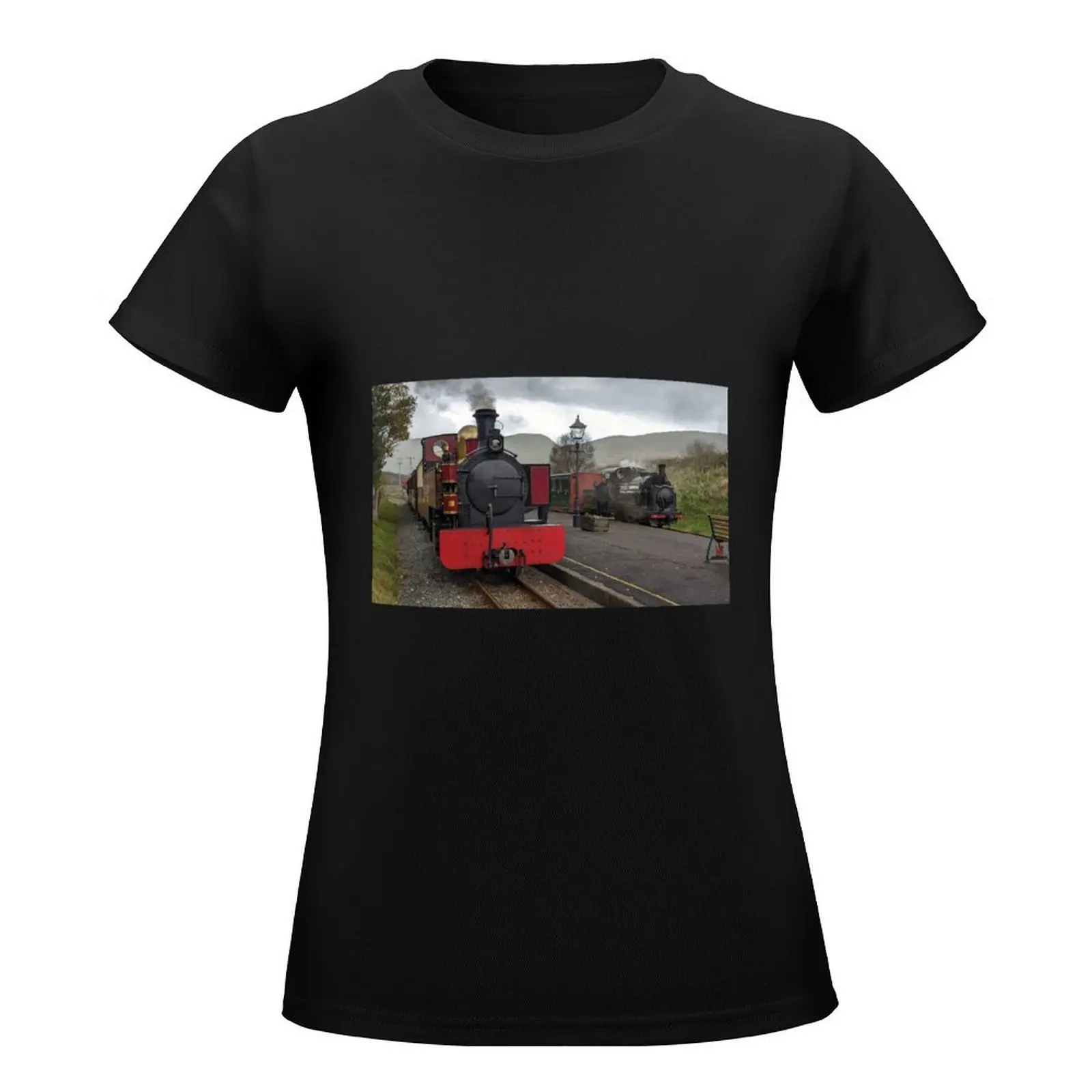 Russell and Welsh Pony Welsh Highland Railway T-Shirt lady clothes Short sleeve tee summer tops tops Women