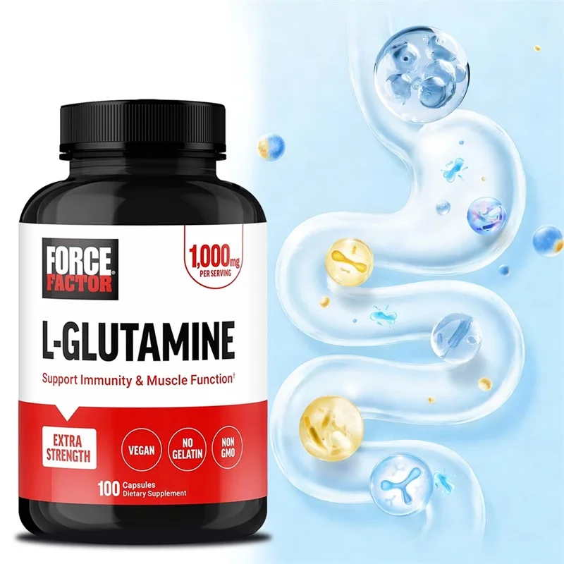 L-Glutamine Supplement - Fatigue Relief, Muscle Growth and Recovery, Improved Digestive Health, Restore Strength and Endurance