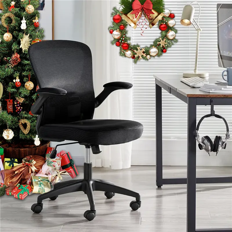 Durrafy Ergonomic Office Chair, with Folding Armrests, with Adjustable Lumbar Support, Executive Chair with 135 kg Load Capacity,